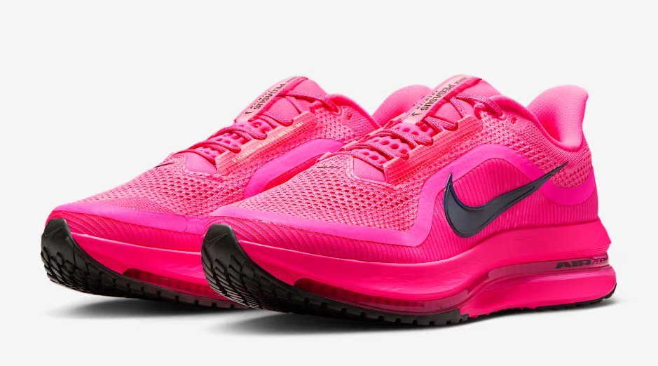 Nike Pegasus Premium outlook