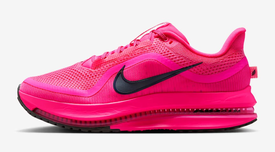 Nike Pegasus Premium