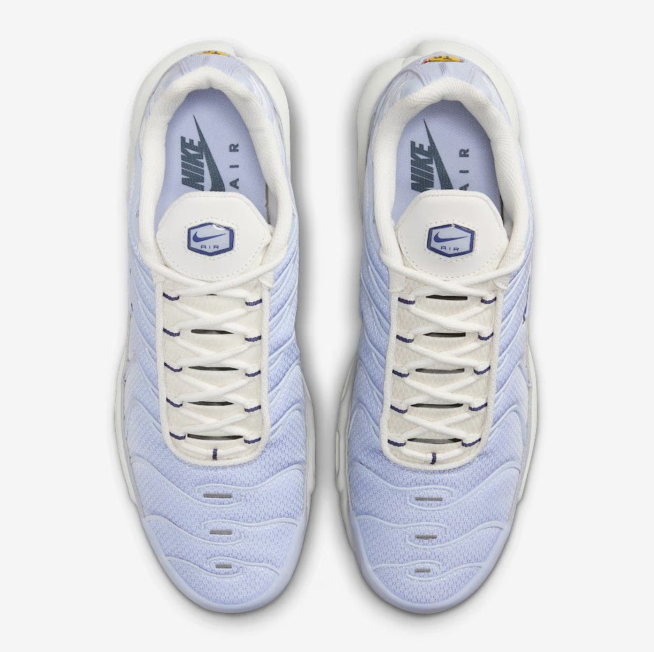 Nike Air Max Plus sneakers