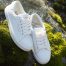 Best White Sneakers for Ladies