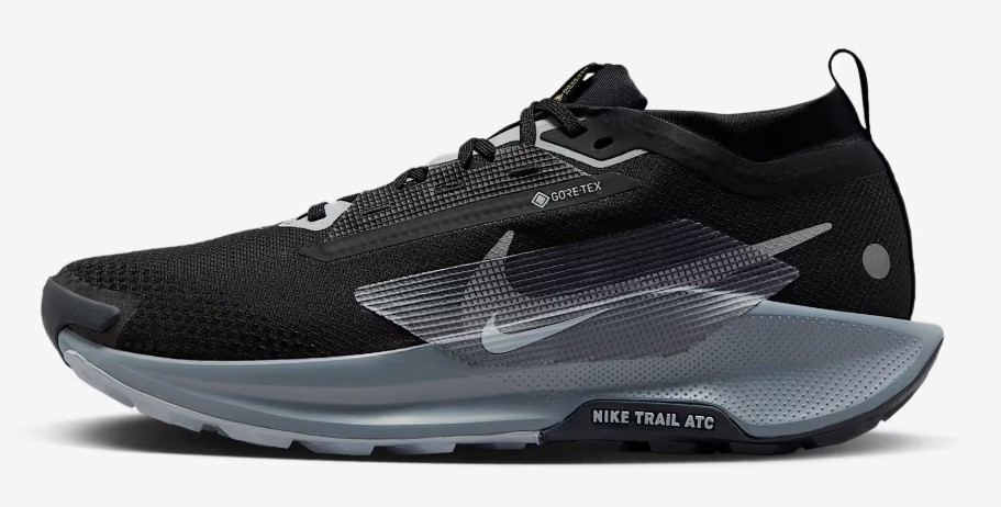 Nike Pegasus Trail 5 Gore-Tex