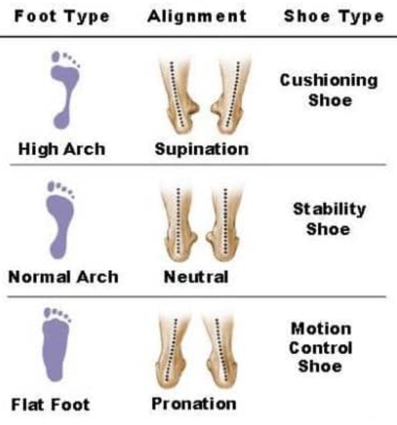 foot type