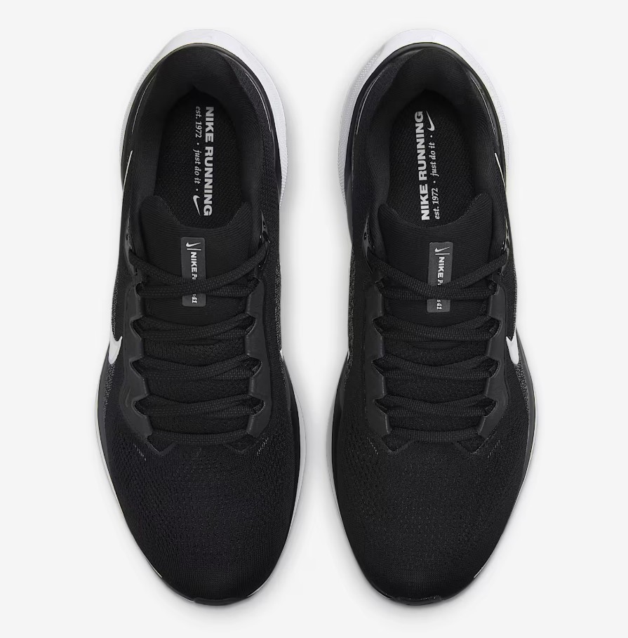 Nike Pegasus 41 sneakers
